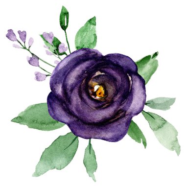  Beyaz arka planda el resmi, suluboya çiçek sanatı konsepti