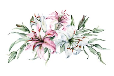 Beyaz arka planda izole zambaklar, suluboya resim