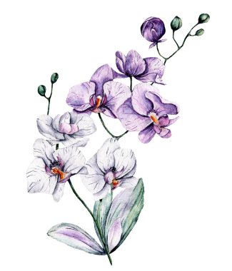 Yapraklı suluboya çiçekler, çiçek boyama konsepti.