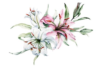 Beyaz arka planda izole zambaklar, suluboya resim