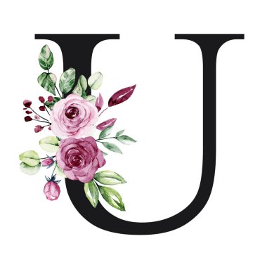 El çizimi suluboya resim, çiçekli büyük harf U