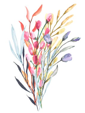 Suluboya resim, beyaz arka planda güzel bahar çiçekleri, çiçek konsepti