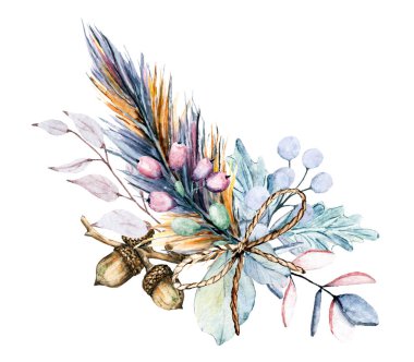 Birds, set watercolor painting, wildlife isolated on white background