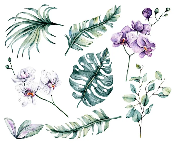 Bir dizi suluboya çiçek çizimi, klasik dekorasyon.