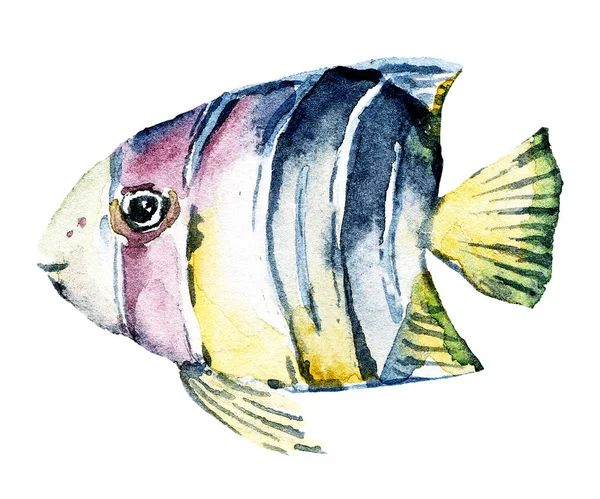 Tropiska Fiskar Akvareller Havsdjur Ocean Undervattensliv Tecknad Marint Koncept Perfekt — Stockfoto