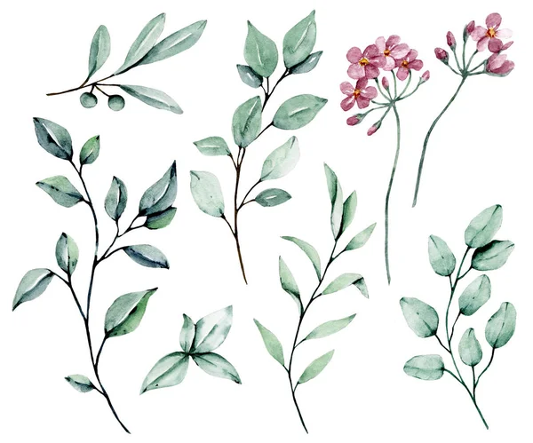 branches with watercolor drawing flowers and leaves, floral concept