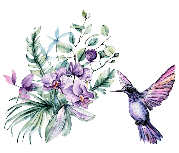 Foglie Tropicali Fiori Con Uccello Colibri Pittura Acquerello — Foto Stock