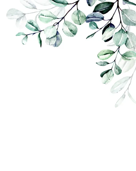 eucalyptus branches, watercolor frame border with place for text, hand painted. Isolated on white background