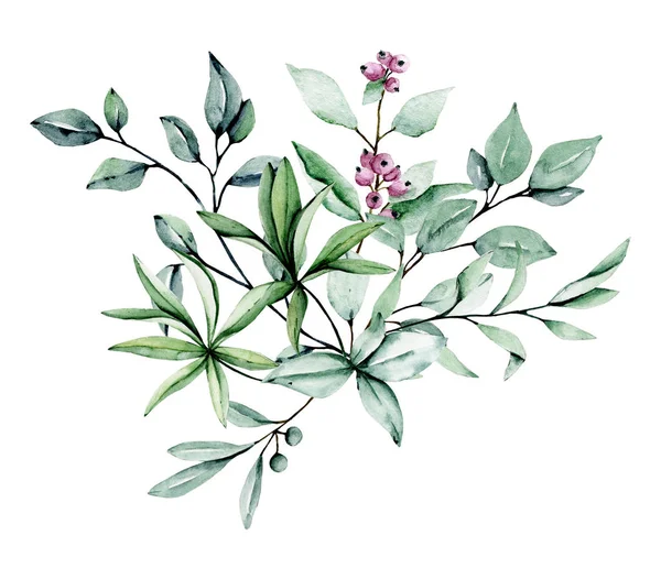 Suluboya yeşil bitki. Beyaz arkaplanda el boyaması çiçek tasarımı 