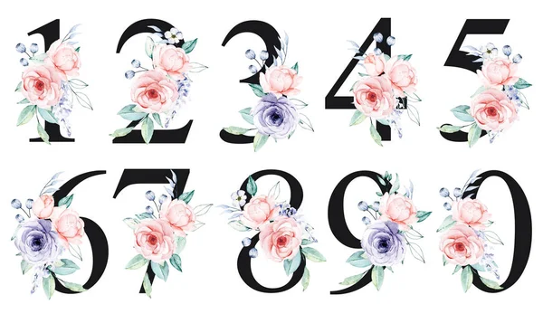 numbers set with watercolor art painting elements on white background