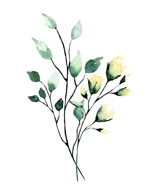 Branches Watercolor Drawing Flowers Leaves Floral Concept — Stok fotoğraf