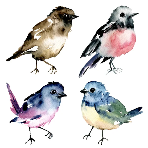 Birds, set watercolor painting, wildlife isolated on white background