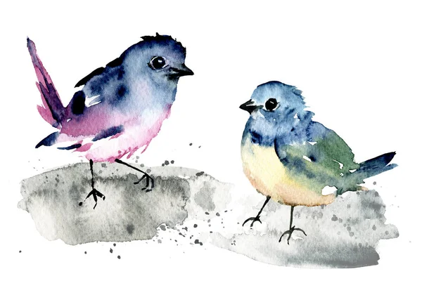 Birds Set Watercolor Painting Wildlife Isolated White Background — Stok fotoğraf