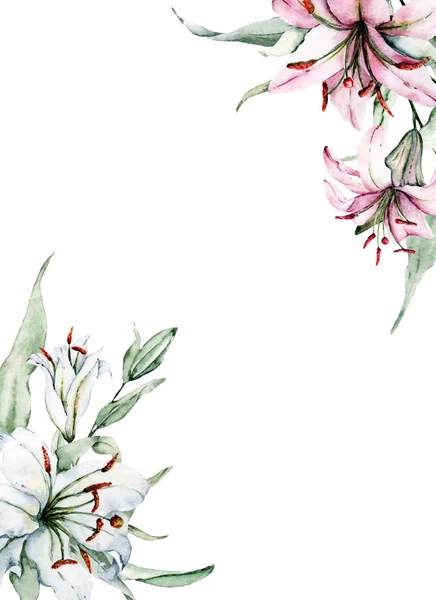 beautiful blossoming lilies, watercolor art painting