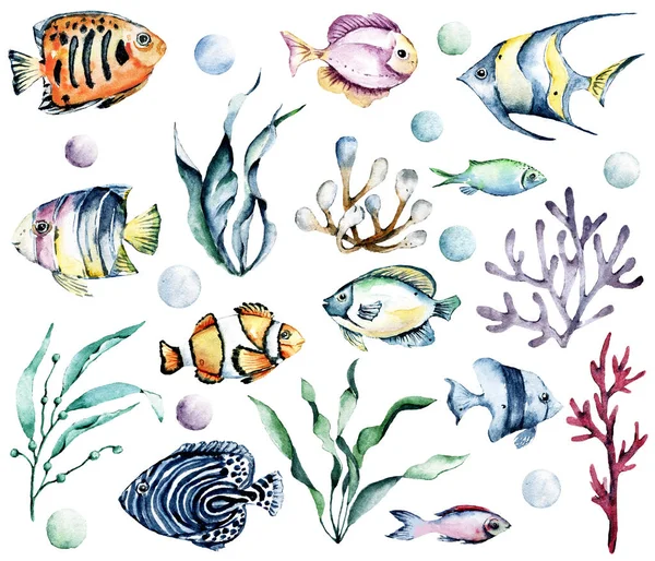 Underwater Fish Set Sea Animals Ocean Life Watercolor Cartoon Marine — Stock Photo, Image