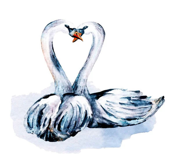 Акварельний Живопис Красивою Парою Лебедів Концепція Дня Святого Валентина — стокове фото
