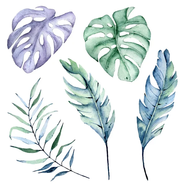 Suluboya yaprakları, dallar, çiçek desenli eski tablolar...