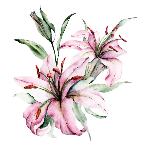 Beautiful Blossoming Lilies Watercolor Art Painting — 스톡 사진