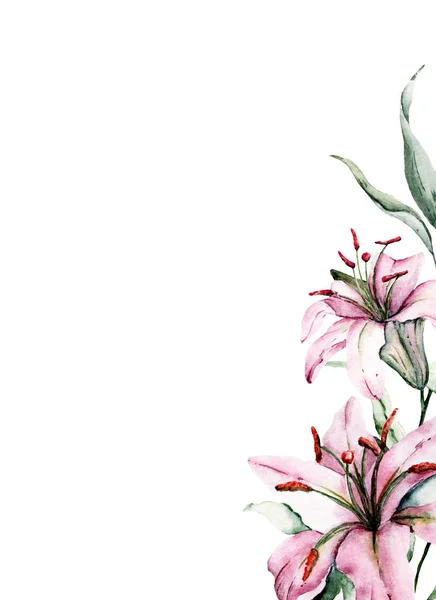 Lilies Isolated White Background Watercolor Art Painting — Stock Photo, Image