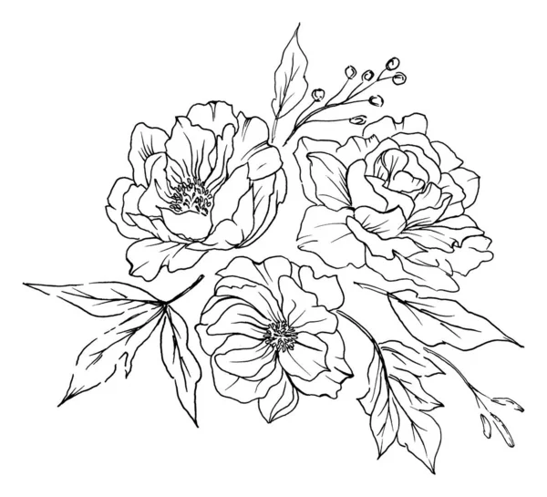 Watercolor Bouquet Line Art Floral Elements — Stock Photo, Image