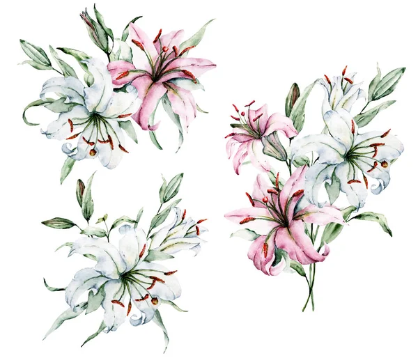 Beyaz arka planda izole zambaklar, suluboya resim