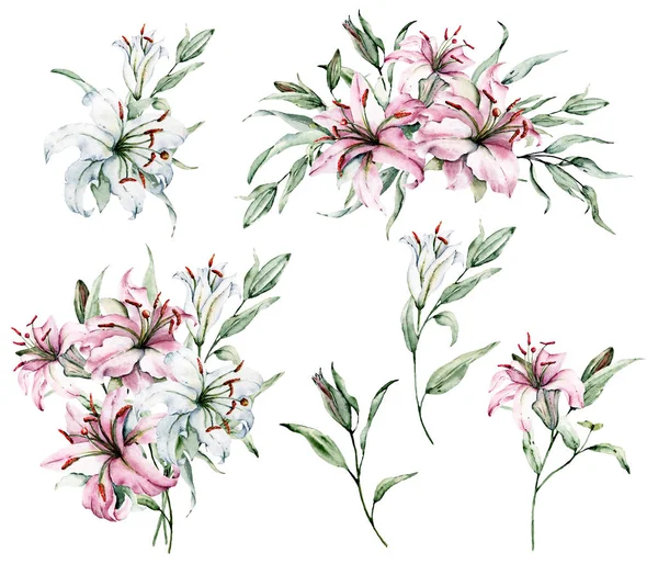 Beyaz arka planda izole zambaklar, suluboya resim