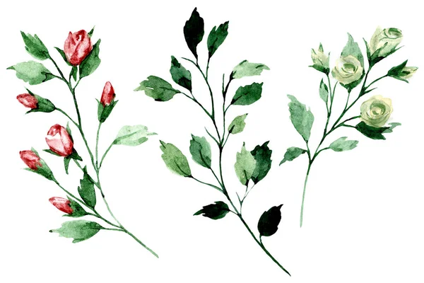 branches with watercolor drawing flowers and leaves, floral concept