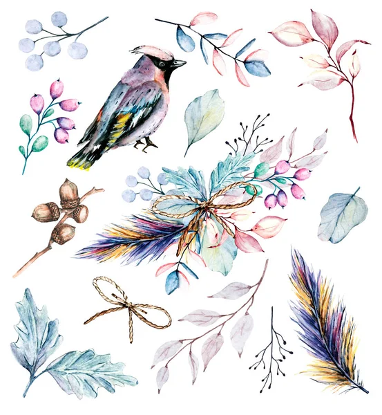 Dalları Kuşları Farklı Çiçek Elementleri Olan Güzel Suluboya Seti — Stok fotoğraf