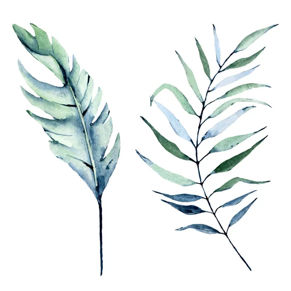 Suluboya yaprakları, dallar, çiçek desenli eski tablolar...