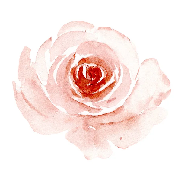 Handmålning Blomma Vit Bakgrund Akvarell Blommig Konst Koncept — Stockfoto