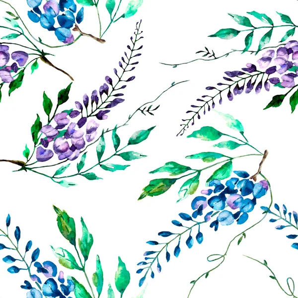 Dekoratif suluboya çiçekli kusursuz desen Wisteria, çiçek kompozisyonu 