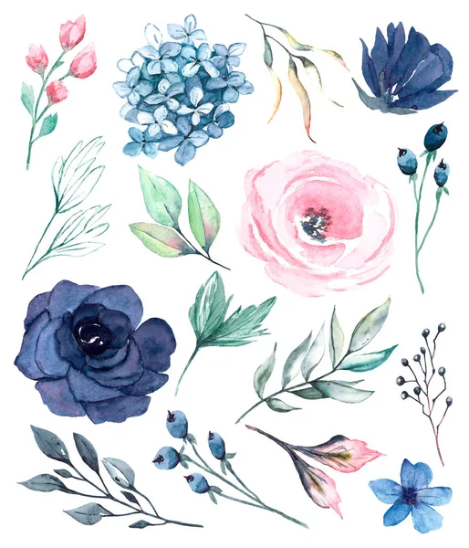 Dekoratif çiçek seti, suluboya resim tasarımı