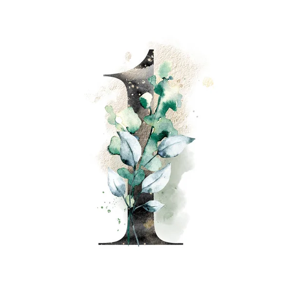 Número Fundo Branco Com Flores Folhas Feitas Com Aquarela Monograma — Fotografia de Stock