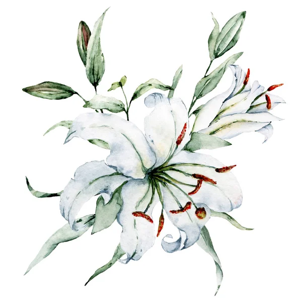 Handgetekende Lelies Met Bladeren Aquarelschilderkunst — Stockfoto