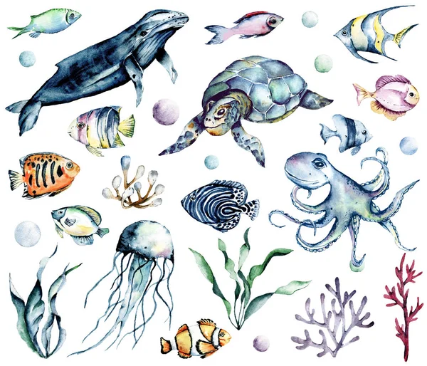 Su altı hayvanları seti, balık, balina, kaplumbağa, denizanası. Deniz hayatı karikatür deniz konsepti. Çocukların tekstil, poster ve kartpostallarını basmak için birebir. Beyazda izole edilmiş. El boyası.