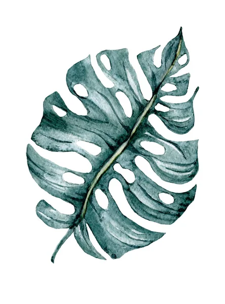 Beyaz arkaplanda tropik suluboya yaprağı 