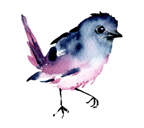 Pájaro Pintura Acuarela Obras Arte Vida Silvestre Aisladas Sobre Fondo —  Fotos de Stock