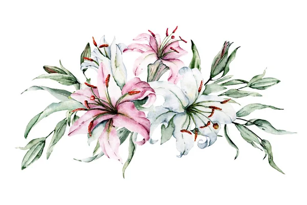 Beyaz arka planda izole zambaklar, suluboya resim