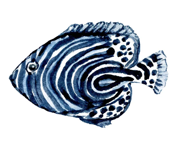 Tropik balık, suluboya deniz hayvanı. Okyanus sualtı yaşamı, çizgi film deniz konsepti. Çocukların tekstil, poster ve kartpostallarını basmak için birebir. Beyazda izole edilmiş. El boyası.