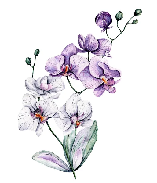 Yapraklı suluboya çiçekler, çiçek boyama konsepti.