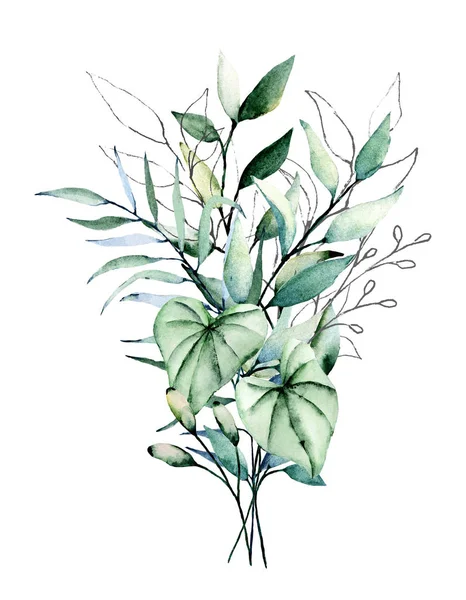 Suluboya yeşil bitkiler. Beyaz arkaplanda el boyaması çiçek tasarımı