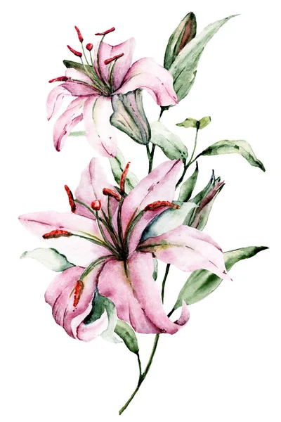 Yapraklı el zambakları, suluboya resim