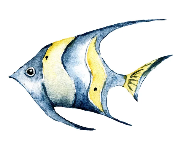 Tropikalne Ryby Akwarela Morskie Zwierzę Ocean Podwodne Życie Kreskówkowa Koncepcja — Zdjęcie stockowe
