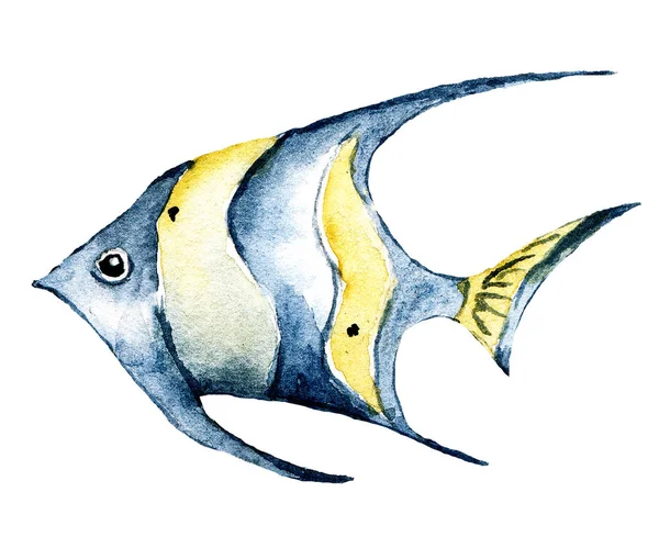 Poisson Tropical Aquarelle Animal Marin Océan Vie Sous Marine Dessin — Photo