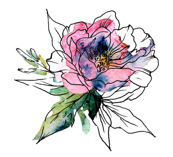 Floral Line Art Watercolor Painting Design Flower Hand Drawn Sketch — 스톡 사진