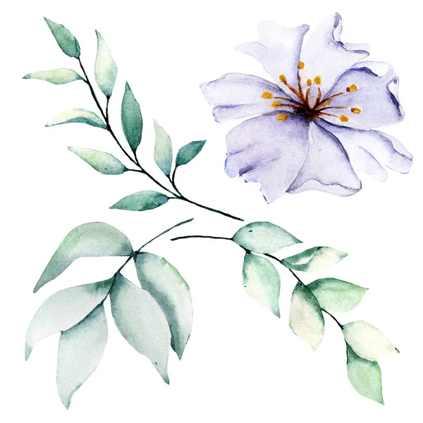 Bir dizi suluboya çiçek çizimi, klasik dekorasyon.