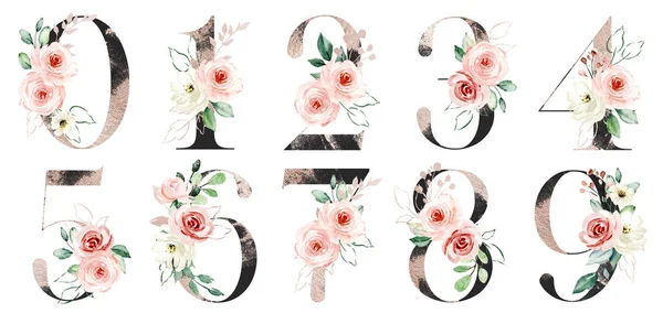 Çiçek elementleri ve suluboya resim içeren 0 'dan 9' a rakamlar
