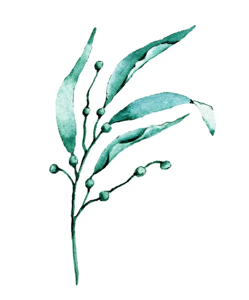 Υποβρύχια Φύκια Ακουαρέλα Ζωγραφική Τέχνη Λευκό Φόντο — Φωτογραφία Αρχείου
