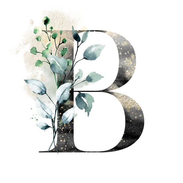 手绘水彩画 大写字母B 有花卉元素 — 图库照片