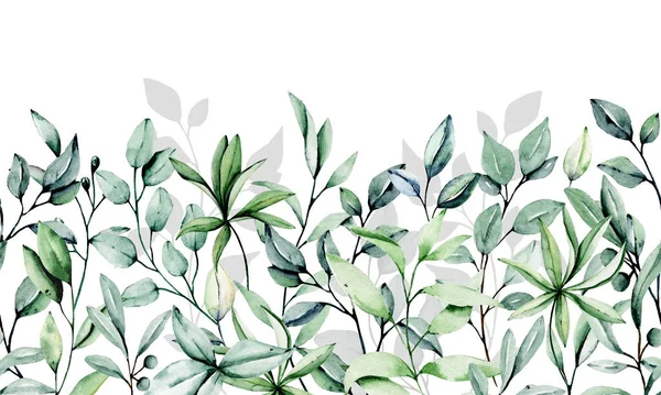 花框边框 水彩叶和植物 免版税图库图片